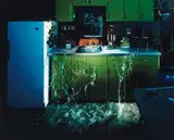 Carlos Sanchez and Jason Sanchez, Overflowing Sink, 2002, Chromogenic print