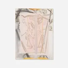 Patricia Treib, Untitled (Forms in Black, Pink, and Yellow), 2012, charcoal and pastel on paper
