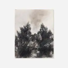 Hayley Barker, Untitled, 2011, charcoal and oil stick on paper