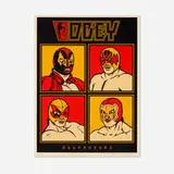 Shepard Fairey, Obey Destroyers
