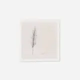 Michael Kenna, Tree Portrait #2, Wakoto, Hokkaldo, Japan