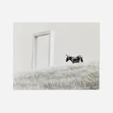 Rick Poulsen, Guy Dill Sculpture, 1992, gelatin silver print