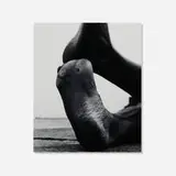Aaron Siskind, Feet 121, gelatin silver print