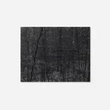 Paul Caponigro, Redding, CT, 1968, vintage gelatin silver print