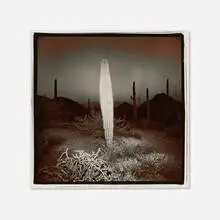 Richard Misrach, Saguaro Cactus #51, vintage split-toned gelatin silver print