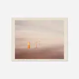 Richard Misrach, The Salton Sea (from the Canto IX: The Human Artifact portfolio)