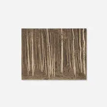 George Tice, Aspen Grove, Aspen, Colorado, 1969, vintage platinum palladium contact print