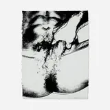 Andy Warhol, Untitled (from the Sex Parts series), 1978, screenprint on HMP