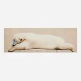 Remi Bourquin, Nikou, 2002, oil on canvas
