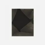 Markus Amm, Untitled (#1), 2007, chemogram