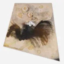 Lucy Dodd, Bourgie Wahwah, 2013, kombucha scoby, yew berries, bubs urine, wild walnut rind, yerba maté, volcanic ash, sauerkraut juice and mixed pigments on canvas