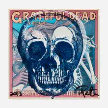 Peter Tunney, Skull, 2013, screenprint in colors