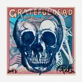 Peter Tunney, Skull, 2013, screenprint in colors
