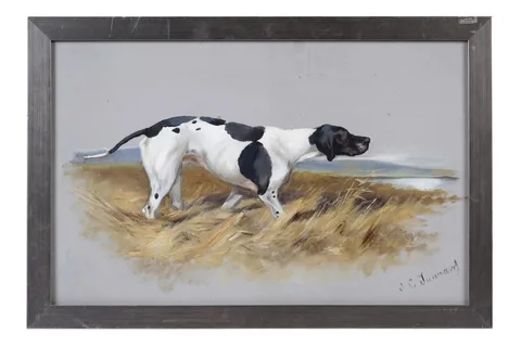 John "Jack" Charles Tunnard, Study of an English Pointer, gouache and mixed media