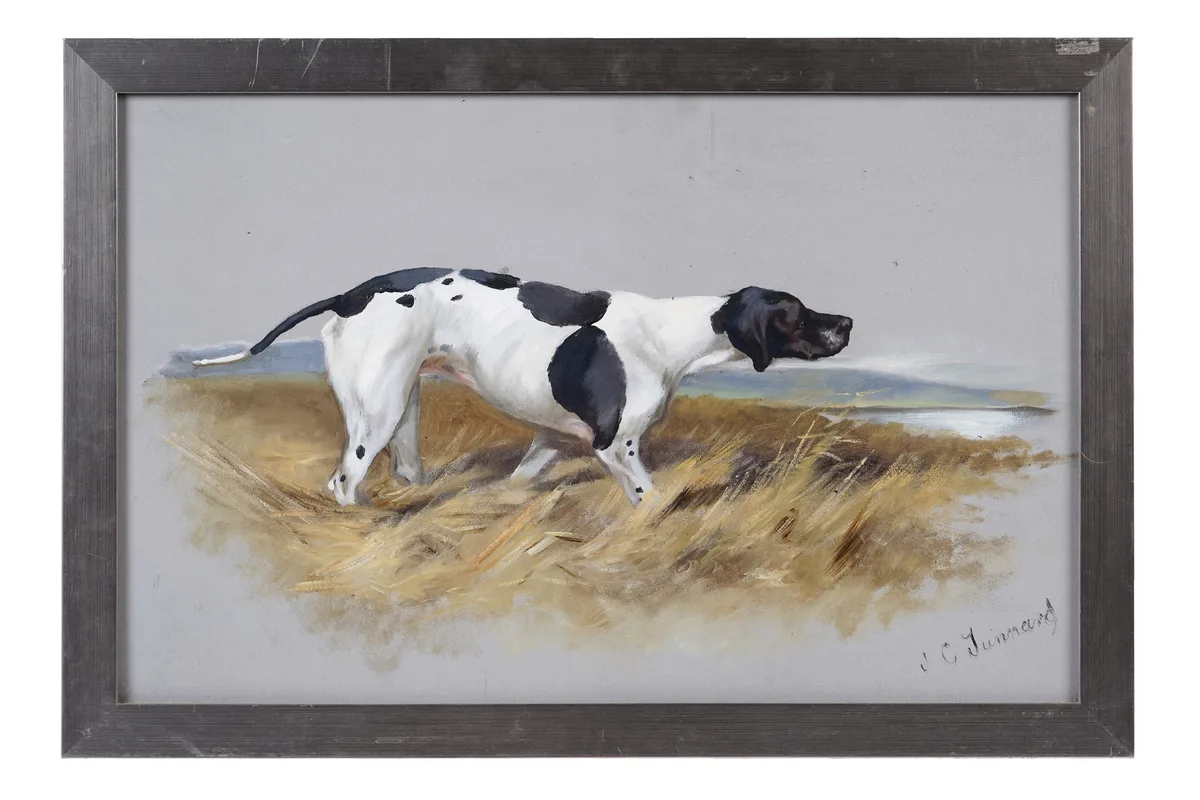 Study of an English Pointer by John "Jack" Charles Tunnard, gouache and mixed media, sold Jun 2026