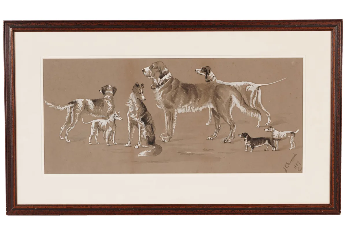 John Charles Tunnard, Canine Studies, ink wash and gouache