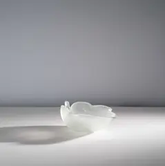 Tyra Lundgren, Coupe n. 2645