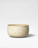 Alev Ebüzziya Siesbye, Bowl