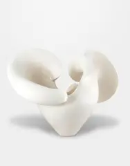 'Bimorphic Tendril' by Astrid Dahl, 2022, White earthenware body, fired, sanded, consolidated and waxed, sold Oct 2024