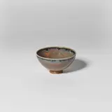 Claude Champy, Coupe