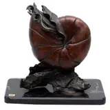 Jorge Coste, NAUTILUS, Bronce, patinado en color verde y marrón; base de mármol negro
