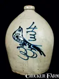 S. Hart, S. HART. / FULTON, New York Stoneware Jug