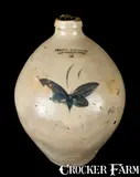 Julius Norton, JULIUS NORTON / BENNINGTON, VT Stoneware Jug with Butterfly, circa 1840, Stoneware