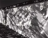 Fritz Simak, Schönbrunn, Wall at Night, #5', Vienna 2010, 2010, Gelatin silver print, printed by Todd Watts on semi-matte paper, selenium-toned, flush-mounted on original cardboard
