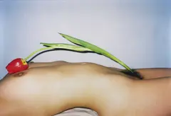 Ren Hang, Untitled, China 2010s, Chromogenic print, mounted on Alu-Dibond, in perfect condition. Original white wooden frame with museum glass