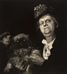 Wayne Miller, Westminster Dog Show, New York City 1953, 1953, Gelatin silver print, printed in 1989 on double-weight semi-matte paper