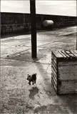Ballycotton, Ireland 1968 by Elliott Erwitt, 1968, Gelatin silver print, printed in 1989 on double-weight semi-matte paper, sold Nov 2023
