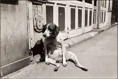 Richard Kalvar, Paris, France 1974, 1974, Gelatin silver print, printed in 1989 on double-weight semi-matte paper