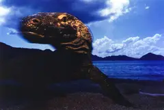 Michael Nichols, Komodo dragon at Komodo Island, Indonesia 1985, 1985, Dye transfer print, printed in 1989 on double-weight semi-matte paper