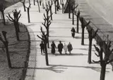 Paul Wolff, Autumn' (Walkers in a park), Frankfurt, Germany c. 1935, 1935, Vintage silver print on double-weight glossy Agfa-Brovira paper, in very good condition. Photographer's stamp with address at "Frankfurt am Main. Hermann Göring Ufer 48", including handwritten order-n
