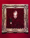 Len Prince, Debbie Harry with roses, 1992, Cibachrome print, in excellent condition. Photographer's copyright blindstamp in the image at lower right, his copyright stamp with New York address in black ink on the reverse. Deutsch: Cibachrome-Pr