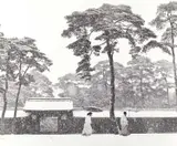 Werner Bischof, Shinto priests in the courtyard of the Meiji Temple, Tokyo 1951, 1951, Gelatin silver print, printed 1989 by Pictorial Services Paris on double-weight semi-matte paper