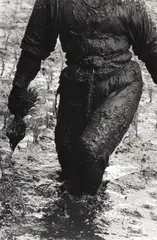 Hiroji Hamaya, Woman planting rice, Toyama, Japan 1955, 1955, Gelatin silver print, printed 1989 by the photographer on double-weight semi-matte paper