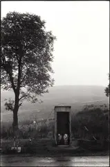 David Hurn, Sheep sheltering on an artillery range, Wales, Great Britain 1973, 1973, Gelatin silver print, printed 1989 on double-weight semi-matte paper