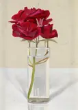 Peter Dreher, "Rosen"