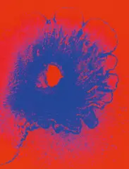 Juli by Otto Piene, 1971, Farbserigrafie auf Karton, sold Dec 2016