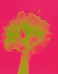 Mai by Otto Piene, 1971, Farbserigrafie auf Karton, sold Dec 2016