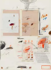 Cy Twombly, Aus: "Natural history part I - Mushrooms" (IV), 1974, Farbige Lithografie, Colotypie und Fotochromie, collagiert auf Rives