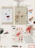Cy Twombly, Aus: "Natural history part I - Mushrooms" (IV), 1974, Farbige Lithografie, Colotypie und Fotochromie, collagiert, auf Rives