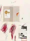 Cy Twombly, Aus: "Natural history part I - Mushrooms" (IX), 1974, Farbige Lithografie, Colotypie und Fotochromie, collagiert, auf Rives