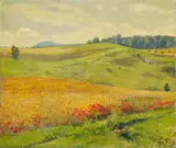 Fritz von Wille, Sommerliche Felder mit blühendem Mohn