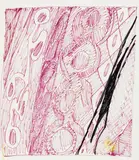 Ernst Wilhelm Nay, Ohne Titel, 1967, Farbige Filzstiftzeichnung auf Papier