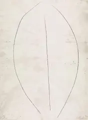 Medea by Günther Uecker, 1996, Kassette mit 12 Radierungen auf Hahnemühle (Wasserzeichen), sold Dec 2016