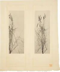 Frank Lloyd Wright, "Weeds and Wildflowers," from The House Beautiful, circa 1896, Two photogravures on one sheet of rice paper