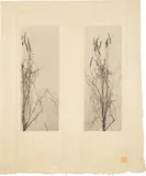 Frank Lloyd Wright, "Weeds and Wildflowers," from The House Beautiful, circa 1896, Two photogravures on one sheet of rice paper
