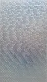 Oliver Laric, Schengen Visa Hologram, 2012, tamper evident security hologram stickers on PET sheet, lacquer